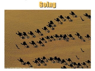 Going

“Clastic Hierarchies”
Christopher G. St. C. Kendall

 