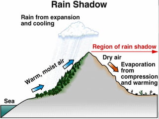 “Clastic Hierarchies”
Christopher G. St. C. Kendall

 