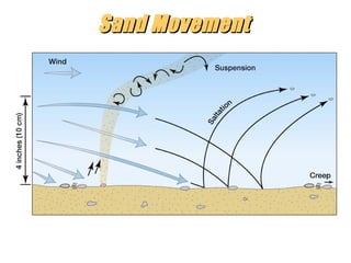 Sand Movement

“Clastic Hierarchies”
Christopher G. St. C. Kendall

 