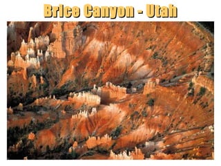 Brice Canyon - Utah

“Clastic Hierarchies”
Christopher G. St. C. Kendall

 