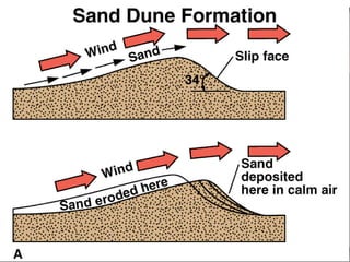 “Clastic Hierarchies”
Christopher G. St. C. Kendall

 
