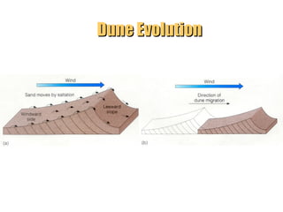 Dune Evolution

“Clastic Hierarchies”
Christopher G. St. C. Kendall

 