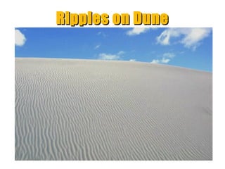 Ripples on Dune

“Clastic Hierarchies”
Christopher G. St. C. Kendall

 