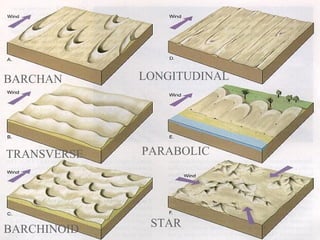 Salt Pan – West Texas, El Capitan
BARCHAN

LONGITUDINAL

TRANSVERSE

PARABOLIC

BARCHINOID

STAR

“Clastic Hierarchies”
Christopher G. St. C. Kendall

 