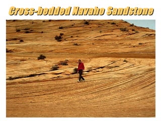 Cross-bedded Navaho Sandstone

“Clastic Hierarchies”
Christopher G. St. C. Kendall

 