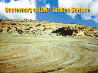 Quaternary of UAE – Stokes Surface

“Clastic Hierarchies”
Christopher G. St. C. Kendall

 