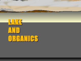 LAKE
AND
ORGANICS

 