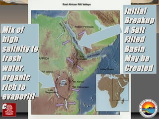 Mix of
high
salinity to
fresh
water,
organic
rich to
evaporiti
c

Initial
Breakup
A Salt
Filled
Basin
May be
Created

“Clastic Hierarchies”
Christopher G. St. C. Kendall

 