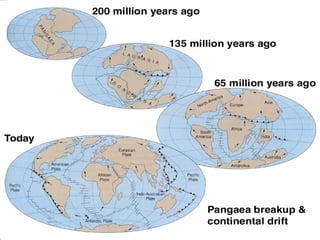 “Clastic Hierarchies”
Christopher G. St. C. Kendall

 