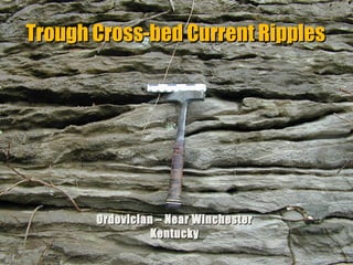 Trough Cross-bed Current Ripples

Ordovician – Near Winchester
Kentucky
“Clastic Hierarchies”
Christopher G. St. C. Kendall

 