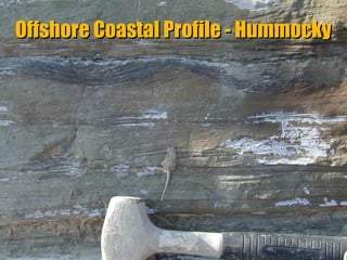 Offshore Coastal Profile - Hummocky

“Clastic Hierarchies”
Christopher G. St. C. Kendall

 