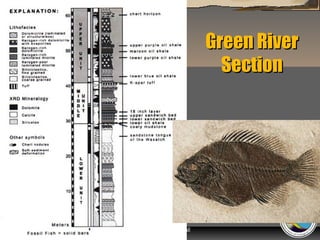 Green River
Section

“Clastic Hierarchies”
Christopher G. St. C. Kendall

 