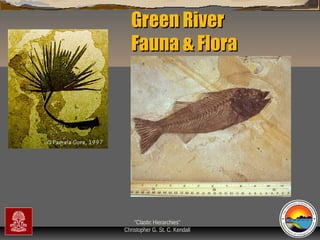 Green River
Fauna & Flora

“Clastic Hierarchies”
Christopher G. St. C. Kendall

 