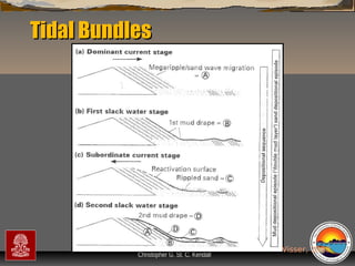 Tidal Bundles

“Clastic Hierarchies”
Christopher G. St. C. Kendall

Visser, 1980

 
