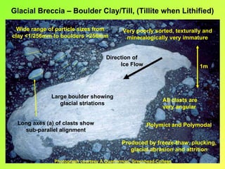 Glacial Breccia – Boulder Clay/Till, (Tillite when Lithified)

  Wide range of particle sizes from         Very poorly sorted, texturally and
clay <1/256mm to boulders >256mm             mineralogically very immature


                                     Direction of
                                          Ice Flow                             1m




              Large boulder showing
                                                              All clasts are
                 glacial striations
                                                              very angular

 Long axes (a) of clasts show                          Polymict and Polymodal
   sub-parallel alignment

                                            Produced by freeze-thaw, plucking,
                                               glacial abrasion and attrition

               Photograph courtesy A.Quarterman, Greenhead College
 