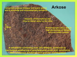 Comprises angular feldspar and quartz grains      Arkose
and is texturally and mineralogically immature



                    Absence of fine material and
                   mica as blown away by the wind


 5mm                                        Pinkish/purple colour due to
                                            high percentage of feldspar
                                               and iron oxide cement




  A sandstone containing over 25% feldspar, produced by
mechanical weathering of granite/gneiss under arid conditions.
   Main processes exfoliation and granular disintegration.
 