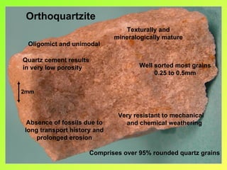 Orthoquartzite
                                   Texturally and
                               mineralogically mature
 Oligomict and unimodal

Quartz cement results
in very low porosity                   Well sorted most grains
                                            0.25 to 0.5mm

2mm



                                Very resistant to mechanical
 Absence of fossils due to        and chemical weathering
long transport history and
    prolonged erosion

                        Comprises over 95% rounded quartz grains
 