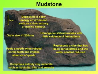 Mudstone

           Deposited in a low
 1cm      energy environment
         such as a river estuary
           or marine harbour

                           Homogenous/structureless with
Grain size <1/256mm         little evidence of laminations


                                      Represents a clay that has
Feels smooth when rubbed              been consolidated and the
 on the teeth and implies               water content reduced
    absence of quartz


  Comprises entirely clay minerals
 such as kaolinite, illite and serecite
 