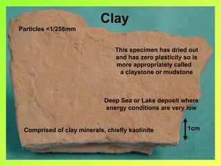 Clay
Particles <1/256mm


                                This specimen has dried out
                                and has zero plasticity so is
                                more appropriately called
                                 a claystone or mudstone



                            Deep Sea or Lake deposit where
                            energy conditions are very low


 Comprised of clay minerals, chiefly kaolinite           1cm
 