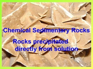 Chemical Sedimentary Rocks
  Rocks precipitated
  directly from solution
 