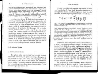 42 CIAUDE TRAUNECKER
qijênoias da ideologia teocrática. O antagonismo entre Hórus e Seth seria
o reflexo da rivalidade entre as cidades de Hieracômpolis e Nagada.Nessa
hipótese, as duas deusas tutelares do Alto e do Baixo Egito, a serpente
Uadjit e o abutre Nekhbet, simbolizariam, na origem, o pântano e o vale
fértil (serpente) e a aridez do deserto (abutre). De acordo com uma te^e
recente de J. Baines, o poder açambarca aXmãnipi5açãõ)do divino.ííO
acesso aos deuses torna-se dever e privilégio do grupo dopoder^ '
A origem dos deuses do Egito perde-se, portanto, ria
noite da pré-história. Embora os primeiros documentos ico-
nográficos, em particular as paletas de cosméticos, indiquem
a preeminência de forças animais (touro, falcão), assiste-se
desde o início do período histórico a um processo de antro-
pomorfização de potências (E. Hornung). Sob a terceira
dinastia, os deuses têm, no geral, o aspecto que conservarão
durante toda a história egípcia. As formas puramente huma-
nas são mais antigas (por exemplo Ptah e talvez Min) que as
formas mistas combinando um corpo humano com cabeça de
animal, as quais só aparecem pelo fim da segunda dinastia
(Hórus). Mas, afora esses exemplos, nada permite estimar a
antiguidade das divindades que aparecem nos documentos
escritos contemporâneos das duas primeiras dinastias.
2. A natureza divina
A terminologia do divino
Em egípcio antigo o termo 'deus' era proferido por uma
raiz de três consoantes, ntr (pronunciar netjer). Esta palavra
conservou-se no copta sob a forma nute, empregada não só
para designar o deus único judaico-cristão, mas também os
deuses pagãos. Propuseram-se muitas etimologias para pene-
trar no sentido primeiro desse grupo de consoantes: 'o do
natrão', 'o que rejuvenesce' etc.
OS DEUSES DO EGITO 43
O signo hieroglrfíco ntr representa uma espécie de haste
com bandeira (fig. 2). Numa tabula de marfim datada do come-
ço da primeira dinastia, essas hastes erguem-se diante do recin-
to deuma divindade arqueira, provavelmente a futura Neith.
/
Fig. 2 •—1-2. Deus-netjer; 3. o sagraáo-djeser, 4. a potência-jeA/iem; 5. o horizonte-
akhet; 6. o Duat; 7-8. As eternidades-ne/ie/i e -djet; 9. as eternidades-íie/ií/i e -cljet
sustentando os pilares do céu.
Todo tipo de interpretação foi proposto: bandeira, machado ou arma
sagrada (J.-F. Champollion), mastro com bandeirolas (K. Sethe), fetiche
(G. Jéquier). Recentemente, J. Baines propôs ver aí um mastro com ban-
deirola arcaico, despojado da imagem do deus no momento da instauração
da realeza única e do culto secreto. Desde a quinta dinastia, as representa-
ções detalhadas mostram que o objeto estava envolto em faixas. Pura E.
Hornung, o enfaixamentoindica um objeto carregado de poder. A nature-
f za original desse símbolo já estava, sem dúvida, perdida no início da
época histórica.
Dois outros signos designam os seres divinos na escrita:
o falcão e o personagem barbudo sentado e munido da cruz
da vida. O voo rápido do primeiro, sua força, sua agilidade e,
sobretudo, sua possibilidadede planar longamenlê muito alto e
muito longe no céu impressionaram os egípcios. O segundo
mostra o ser divinoJurnagejn.do homenk-D. Meeks apresen-
tou recentemente uma abordagem muito sedutora, ao inves-
tigar, 'a jusante', o uso da raiz n-tj-r. Ao que tudo indica, o
rito estava em constante correlação com a noçfio netjer. Só
se tornaria e só se ficaria netjer pelo rito. O adjetivo 'divino'
(netjery) significa 'ritualizado'.
São numerosos os objetos, lugares e seres que podem
ser qualificados de 'divinos' (netjery). Porém, exceto o rei,
os homens vivos não se beneficiavam dessa interessante
 