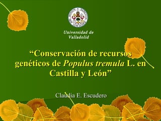 “ Conservación de recursos genéticos de  Populus tremula  L. en Castilla y León” Claudia E. Escudero Universidad de Valladolid 