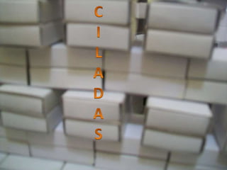 Claudia materiais expressivos 