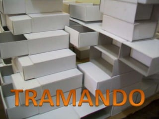 Claudia materiais expressivos 