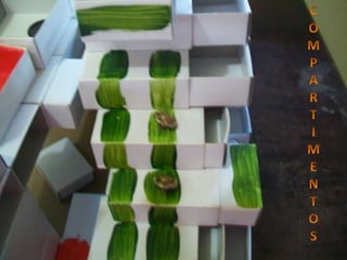 Claudia materiais expressivos 