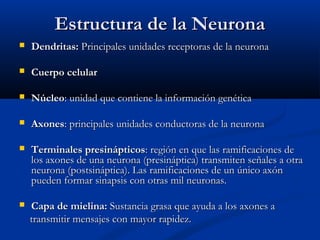 Estructura de la NeuronaEstructura de la Neurona
 Dendritas:Dendritas: Principales unidades receptoras de la neuronaPrincipales unidades receptoras de la neurona
 Cuerpo celularCuerpo celular
 NúcleoNúcleo: unidad que contiene la información genética: unidad que contiene la información genética
 AxonesAxones: principales unidades conductoras de la neurona: principales unidades conductoras de la neurona
 Terminales presinápticosTerminales presinápticos: región en que las ramificaciones de: región en que las ramificaciones de
los axones de una neurona (presináptica) transmiten señales a otralos axones de una neurona (presináptica) transmiten señales a otra
neurona (postsináptica). Las ramificaciones de un único axónneurona (postsináptica). Las ramificaciones de un único axón
pueden formar sinapsis con otras mil neuronas.pueden formar sinapsis con otras mil neuronas.
 Capa de mielina:Capa de mielina: Sustancia grasa que ayuda a los axones aSustancia grasa que ayuda a los axones a
transmitir mensajes con mayor rapidez.transmitir mensajes con mayor rapidez.
 