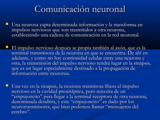 Comunicación neuronalComunicación neuronal
 Una neurona capta determinada información y la transforma enUna neurona capta determinada información y la transforma en
impulsos nerviosos que son trasmitidos a otra neurona,impulsos nerviosos que son trasmitidos a otra neurona,
estableciendo una cadena de comunicación en la red neuronal.estableciendo una cadena de comunicación en la red neuronal.
 El impulso nervioso después se propia también al axón, que es laEl impulso nervioso después se propia también al axón, que es la
terminal transmisora de la neurona en que se encuentra. De ahí enterminal transmisora de la neurona en que se encuentra. De ahí en
adelante, y como no hay continuidad celular entre una neurona yadelante, y como no hay continuidad celular entre una neurona y
otra, la transmisión del impulso nervioso tendrá lugar en la sinapsis,otra, la transmisión del impulso nervioso tendrá lugar en la sinapsis,
que es un lugar especialmente destinado a la propagación deque es un lugar especialmente destinado a la propagación de
información entre neuronas.información entre neuronas.
 Una vez en la sinapsis, la neurona trasmisora libera el impulsoUna vez en la sinapsis, la neurona trasmisora libera el impulso
nervioso en la cavidad presináptica, pero necesita de unnervioso en la cavidad presináptica, pero necesita de un
“empujoncito” para llegar a la terminal receptora de otra neurona,“empujoncito” para llegar a la terminal receptora de otra neurona,
denominada dendrita, y este “empujoncito” es dado por losdenominada dendrita, y este “empujoncito” es dado por los
neurotransmisores, que bien podemos llamar “mensajeros delneurotransmisores, que bien podemos llamar “mensajeros del
cerebro”.cerebro”.
 