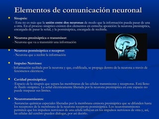 Elementos de comunicación neuronalElementos de comunicación neuronal
 Sinapsis:Sinapsis:
-- Esta no es más que la unión entre dos neuronas de modo que la información pueda pasar de una
a otra. En el proceso sináptico existen dos elementos en estrecha aposición: la neurona presináptica,
encargada de pasar la señal, y la postsináptica, encargada de recibirla.
 Neurona presináptica o transmisor:Neurona presináptica o transmisor:
- Neurona que va a transmitir una información- Neurona que va a transmitir una información
 Neurona postsináptica o receptor:Neurona postsináptica o receptor:
- Neurona que a recibir la información- Neurona que a recibir la información
 Impulso Nervioso:Impulso Nervioso:
- Información recibida por la neurona y que, codificada, se propaga dentro de la neurona a través de- Información recibida por la neurona y que, codificada, se propaga dentro de la neurona a través de
fenómenos eléctricos.fenómenos eléctricos.
 Cavidad presináptica:Cavidad presináptica:
- Espacio de la sinapsis que separa las membranas de las células transmisoras y receptoras. Está lleno- Espacio de la sinapsis que separa las membranas de las células transmisoras y receptoras. Está lleno
de fluido sináptico. La señal eléctricamente liberada por la neurona presináptica en este espacio node fluido sináptico. La señal eléctricamente liberada por la neurona presináptica en este espacio no
puede traspasar sus límites.puede traspasar sus límites.
 Neurotransmisores:Neurotransmisores:
- Sustancias químicas especiales liberadas por la membrana emisora presináptica que se difunden hasta- Sustancias químicas especiales liberadas por la membrana emisora presináptica que se difunden hasta
los receptores de la membrana de la neurona receptora postsináptica. Los neurotransmisoreslos receptores de la membrana de la neurona receptora postsináptica. Los neurotransmisores
permiten que los impulsos nerviosos de una célula influyan en los impulsos nerviosos de otra y, así,permiten que los impulsos nerviosos de una célula influyan en los impulsos nerviosos de otra y, así,
las células del cerebro pueden dialogar, por así decirlo.las células del cerebro pueden dialogar, por así decirlo.
 