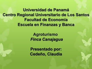 Universidad de Panamá 
Centro Regional Universitario de Los Santos 
Facultad de Economía 
Escuela en Finanzas y Banca 
Agroturismo 
Finca Canajagua 
Presentado por: 
Cedeño, Claudia 
 