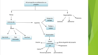 mapa conceptual del rol principal de un profesional de proyectos