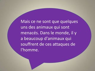 Mais ce ne sont que quelques uns des animaux qui sont menacés. Dans le monde, il y a beaucoup d'animaux qui souffrent de ces attaques de l'homme.