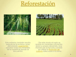 Reforestación




Este extremo también resulta      . De este modo el suelo se
 perjudicial al entorno, pues   queda sin minerales suficientes
   demasiada vegetación         para su propio desarrollo. Una
 absorbe todos los minerales    manera de evitar esto consiste
  de la superficie donde se        en utilizar la Rotación de
          encuentra              cultivos adecuada a la zona.
 