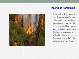 Incendios Forestales

 Se le podría denominar un
 tipo de deforestación con
 efectos adversos masivos
 y duraderos al terreno. La
 tierra que ha sido expuesta
 a incendio demora cientos
 de años para volver a ser
 utilizable. Por lo que es un
 factor que ataca al medio
 ambiente exterminándolo.
 