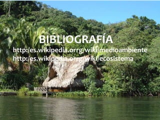 Bibliografía
          BIBLIOGRAFÍA
http:/es.wikipedia.orrg/wiki/medioambiente
                        http:∕∕es.wikipedia.org∕wiki∕Me
                        dio Ambiente
 bibliografía
http:/es.wikipedia.orrg/wiki/ecosistema
                        http:∕∕es.wikipedia.org∕wiki∕eco
                             sistema.
 