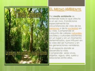 Por medio ambiente se
entiende todo lo que afecta
a un ser vivo. Condiciona
especialmente las
circunstancias de vida de las
personas o de la sociedad en
su vida. Comprende el
conjunto de valores naturales,
sociales y culturales existentes
en un lugar y en un momento
determinados, que influyen en
la vida del ser humano y en
las generaciones venideras.
Es el espacio donde se
desarrolla la vida.
Comprende seres vivos,
objetos, agua, aire, suelo y
relaciones entre ellos.
 