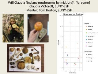 Will Claudia find any mushrooms by mid July?.. Ya, some!
Claudia Victoroff, SUNY-ESF
Mentor: Tom Horton, SUNY-ESF
0.0
2.5
5.0
7.5
10.0
12.5
C N NP P
treatment
abund
genus
amanita
boletus
chroogomphus
cortinarius
lactarius
leccium
russula
stand.age
mature
midaged
young
Abundance vs. Treatment
 