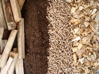 Centro da Biomassa
para a Energia
 