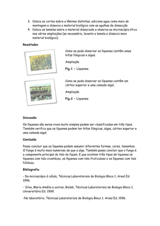 3. Coloca os cortes sobre a lâminas distintas, adiciona agua como meio de
      montagem e dissocia o material biológico com as agulhas de dissecção
   4. Coloca as lamelas sobre o material dissociado e observa ao microscópio ótico
      nas várias ampliações (se necessário, levanta a lamela e dissocia mais
      material biológico).

Resultados

                               Como se pode observar os líquenes contêm umas
                               hifas fúngicas e algas.

                               Ampliação

                               Fig.1 – Líquenes.



                               Como se pode observar os líquenes contêm um
                               córtex superior e uma camada algal.

                               Ampliação

                               Fig.2 – Líquenes.




Discussão

Os líquenes são seres vivos muito simples podem ser classificados em três tipos.
Também verifico que os líquenes podem ter hifas fúngicas, algas, córtex superior e
uma camada algal.

Conclusão

Posso concluir que os líquenes podem assumir diferentes formas, cores, tamanhos.
O fungo é muito mais numeroso de que a alga. Também posso concluir que o fungo é
o componente principal do talo do líquen. E que existem três tipos de liquenes os
líquenes com talo crustáceo, os líquenes com talo fruticuloso e os líquenes com talo
foliáceo.

Bibliografia

- Do microscópio á célula, Técnicas Laboratoriais de Biologia Bloco 1, Areal Ed.
1996.

- Silva, Maria Amélia e outros, Biolab, Técnicas Laboratoriais de Biologia Bloco 1,
Universitária Ed. 1999.

-No laboratório, Técnicas Laboratoriais de Biologia Bloco 1, Areal Ed. 1996.
 