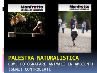 PALESTRA NATURALISTICA
COME FOTOGRAFARE ANIMALI IN AMBIENTI
(SEMI) CONTROLLATI
 