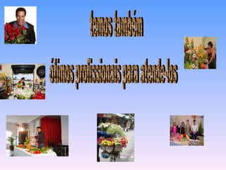 temos também ótimos profissionais para atende-los 