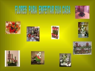FLORES  PARA  ENFEITAR SUA CASA 