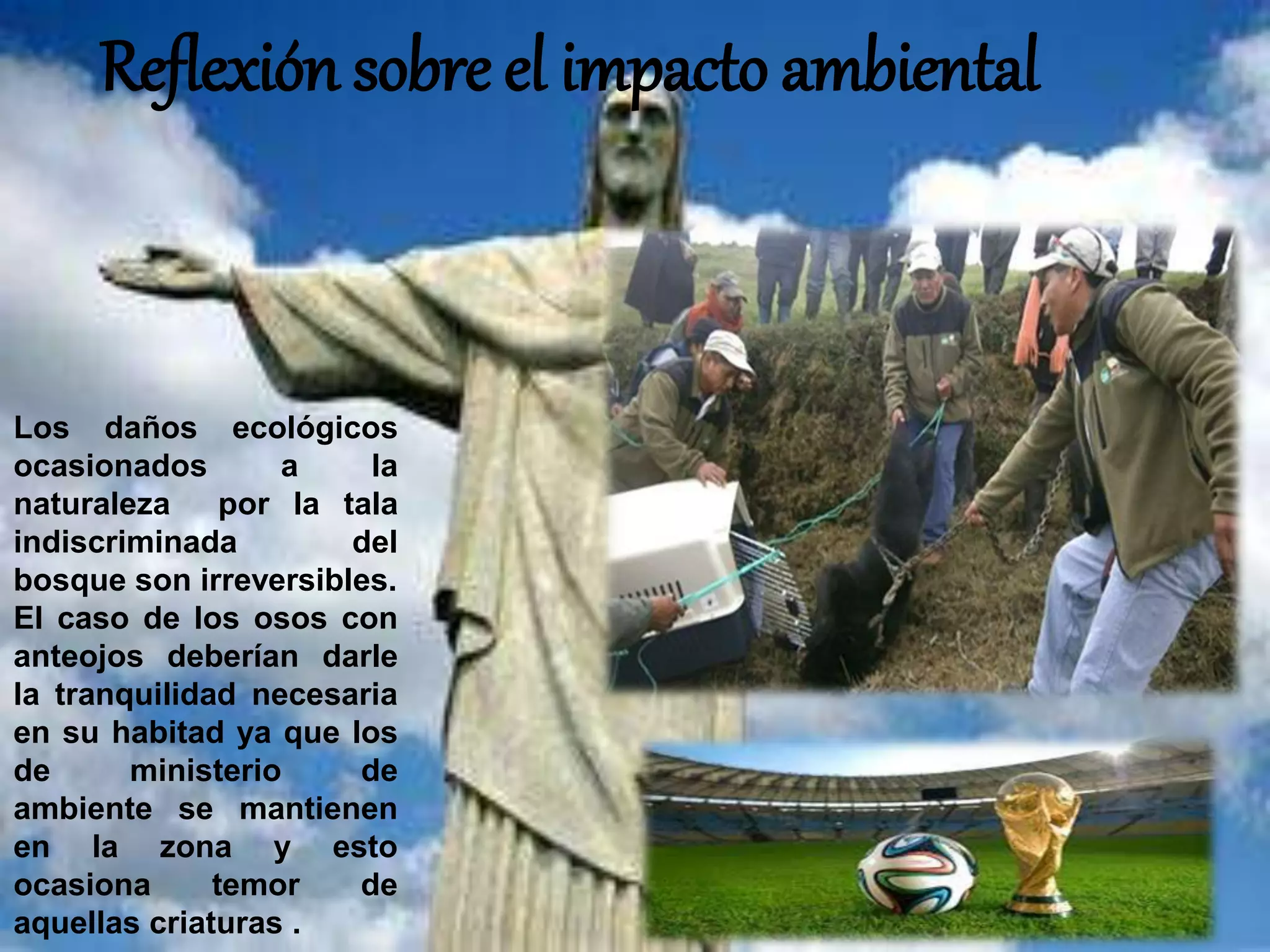 Reflexión sobre el impacto ambiental
Los daños ecológicos
ocasionados a la
naturaleza por la tala
indiscriminada del
bosque son irreversibles.
El caso de los osos con
anteojos deberían darle
la tranquilidad necesaria
en su habitad ya que los
de ministerio de
ambiente se mantienen
en la zona y esto
ocasiona temor de
aquellas criaturas .
 