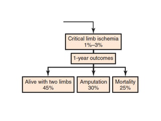Topic of Vascular Claudication | PDF
