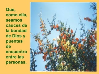 Que,
como ella,
seamos
cauces de
la bondad
de Dios y
puentes
de
encuentro
entre las
personas.
             21
 