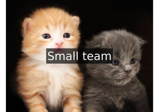 Small team
 
