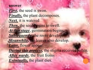 answer
First, the seed is swon.
Finally, the plant decomposes.
Next, it is watered
Then, the seed begins to swell.
At this stage, germination begins.
Subsequently, the roots develop.
Meanwhile, the leaves also develop.
Later, flower appear.
During this process, the stigma receives pollen.
After wards, the fruit froms
Eventually, the plant dies.

 